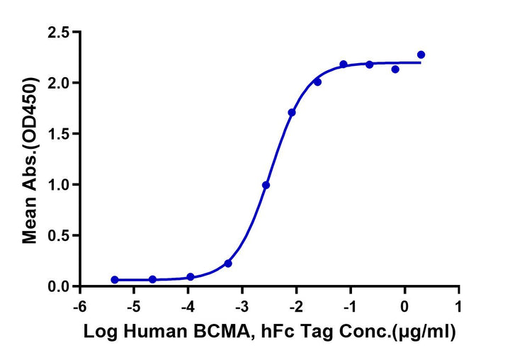 Human BCMA/TNFRSF17 Protein (BCM-HM217)