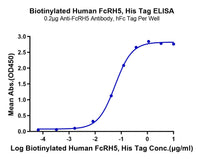 ELISA binding curve showing the interaction between biotinylated Human FcRH5 (His Tag) and anti-FcRH5 antibody (hFc Tag), demonstrating a dose-dependent increase in absorbance indicative of specific binding affinity.