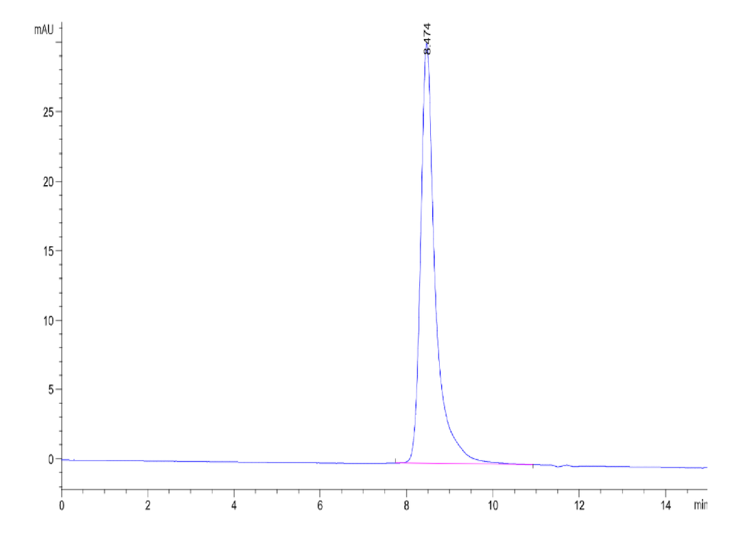 Cynomolgus Coagulation factor XI Protein (FXI-CM101)