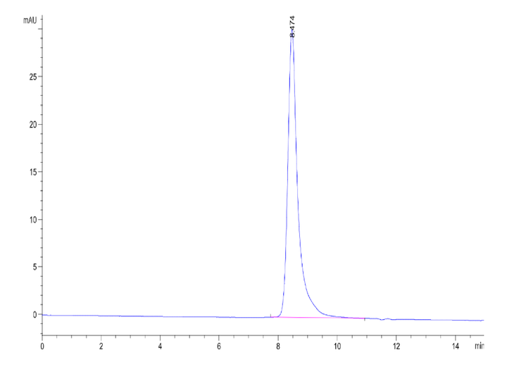 Cynomolgus Coagulation factor XI Protein (FXI-CM101)