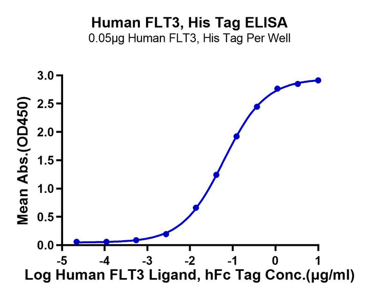 Human FLT3/Flk-2 Protein (FLT-HM130)