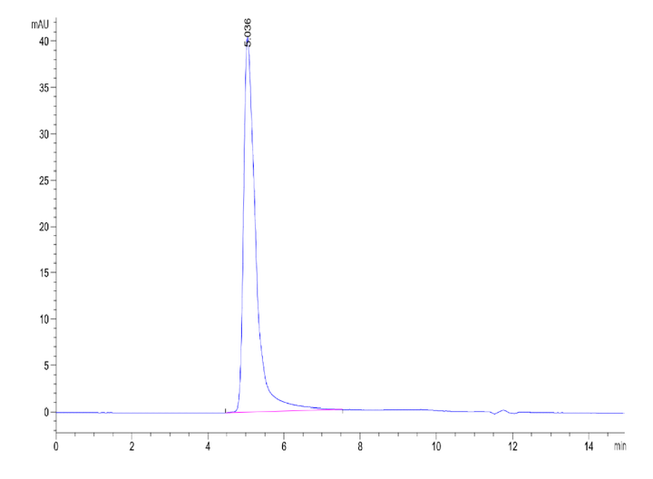 Human CKAP4 Protein (CAP-HE1P4)