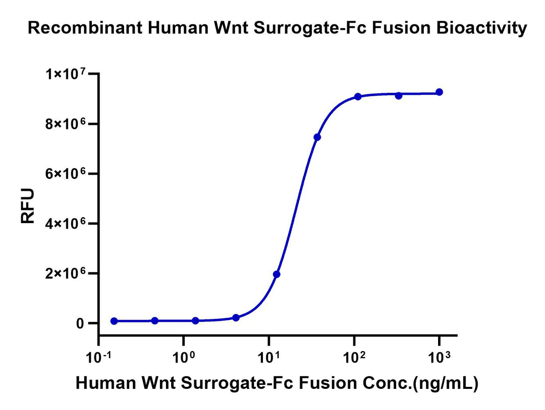 Human Wnt Surrogate-Fc Fusion Protein (WNT-HM23A)