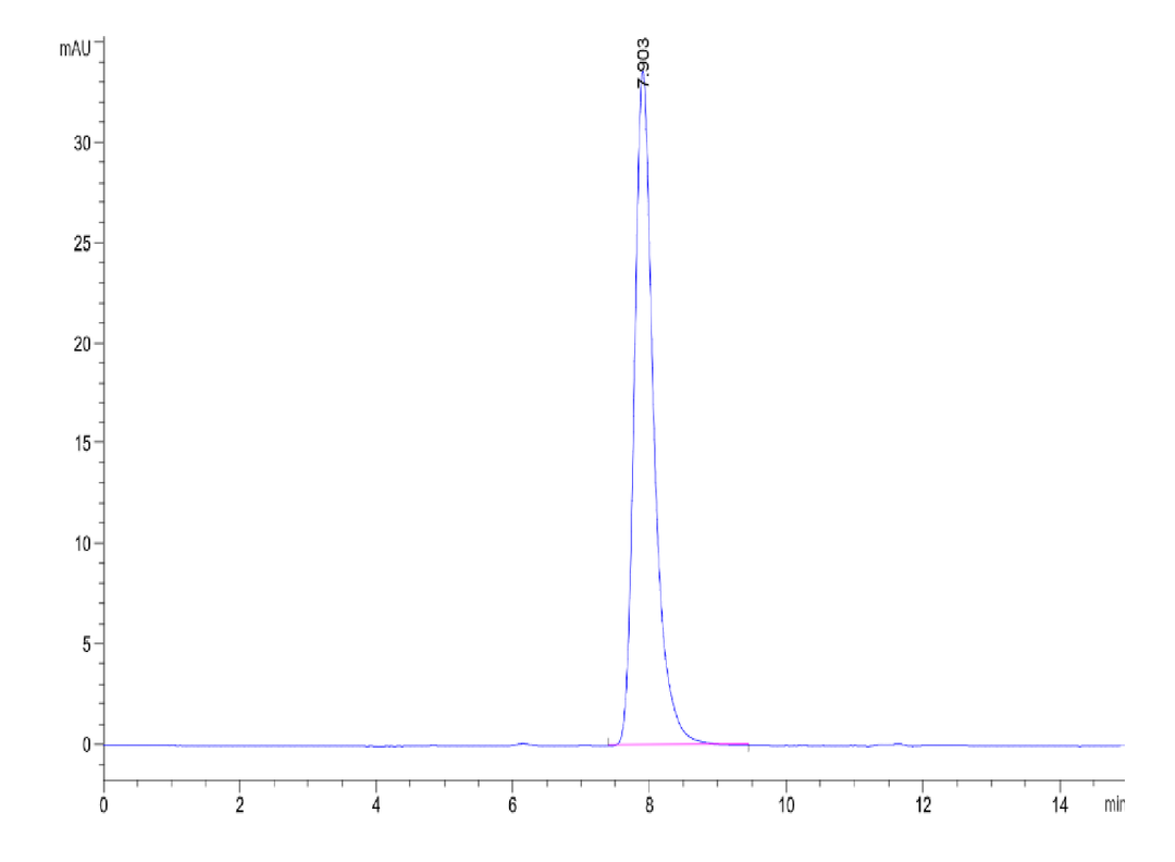 Mouse CD117 Protein (CD1-MM117)