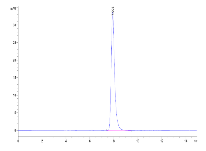 Mouse CD117 Protein (CD1-MM117)