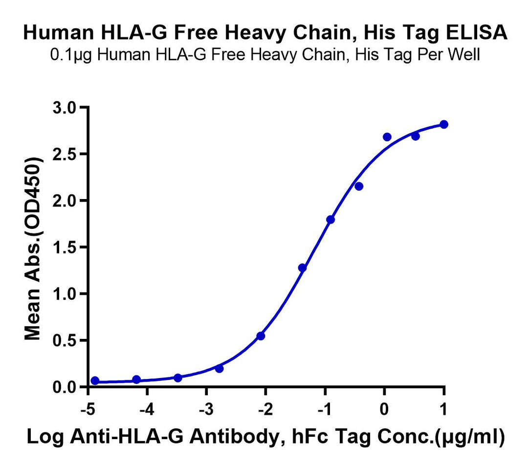 Human HLA-G Free Heavy Chain Protein (HLG-HE41F)