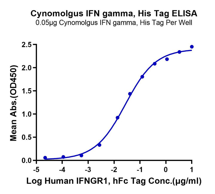 Cynomolgus IFN gamma/IFNG Protein (IFN-CM10G)