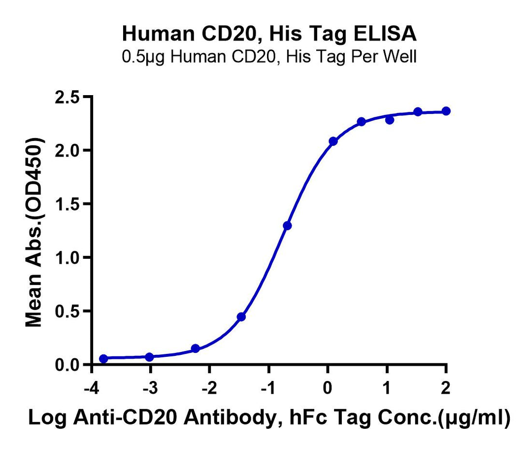 Human CD20/MS4A1 Protein (CD2-HE120)