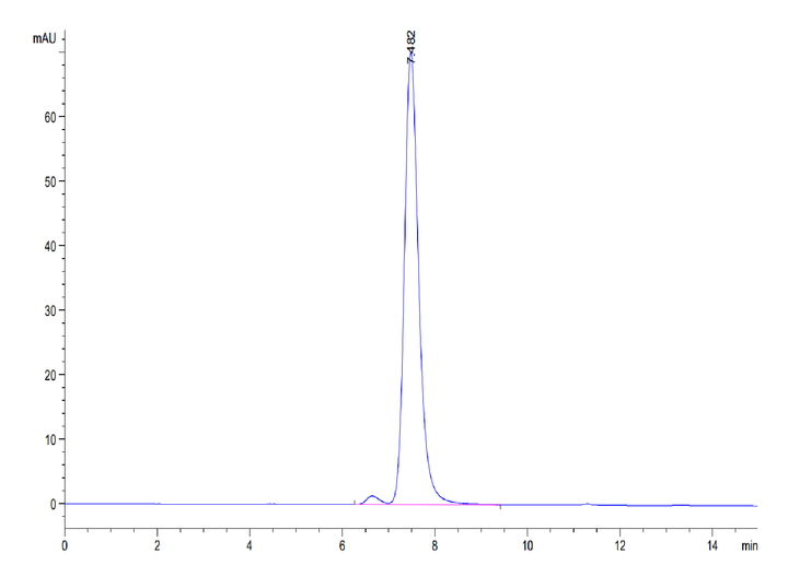 Biotinylated Human HLA-G&B2M&Peptide (RIIPRHLQL) Monomer Protein (HLG-HM41CB)