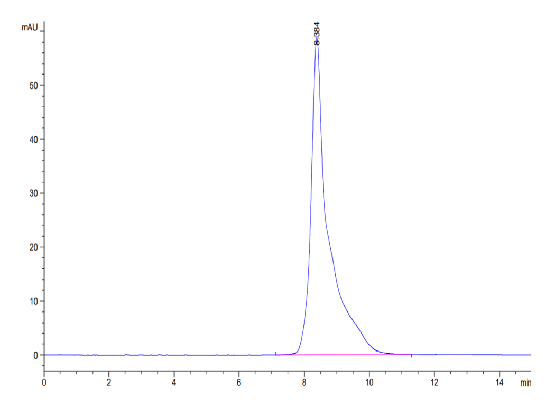 Cynomolgus HLA-G&B2M&Peptide (RIIPRHLQL) Monomer Protein (HLG-CM41C)