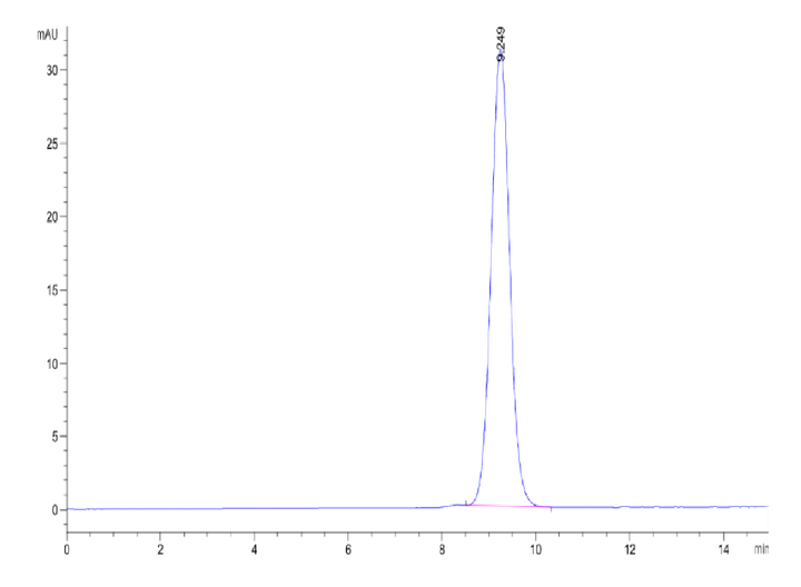 Human LY6G6D Protein (LYD-HM26D)