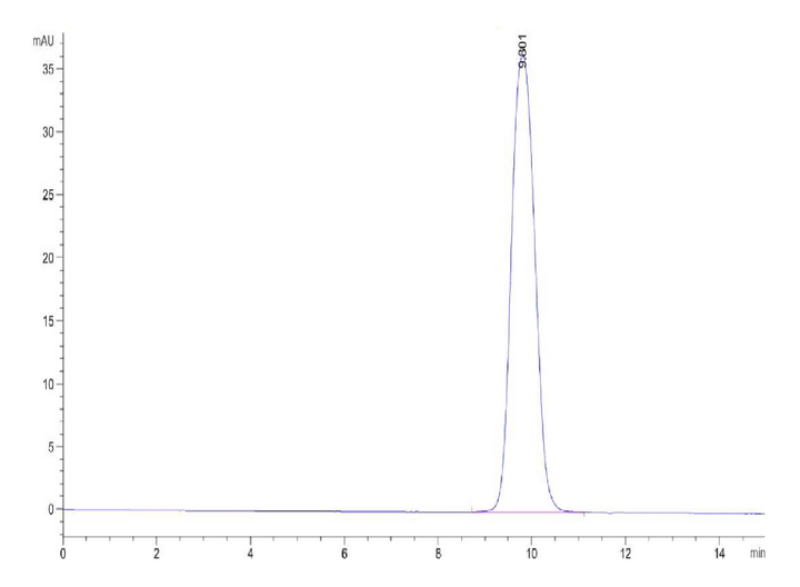 Human/Cynomolgus Activin RIIB/ACVR2B Protein (ARB-HM12B)