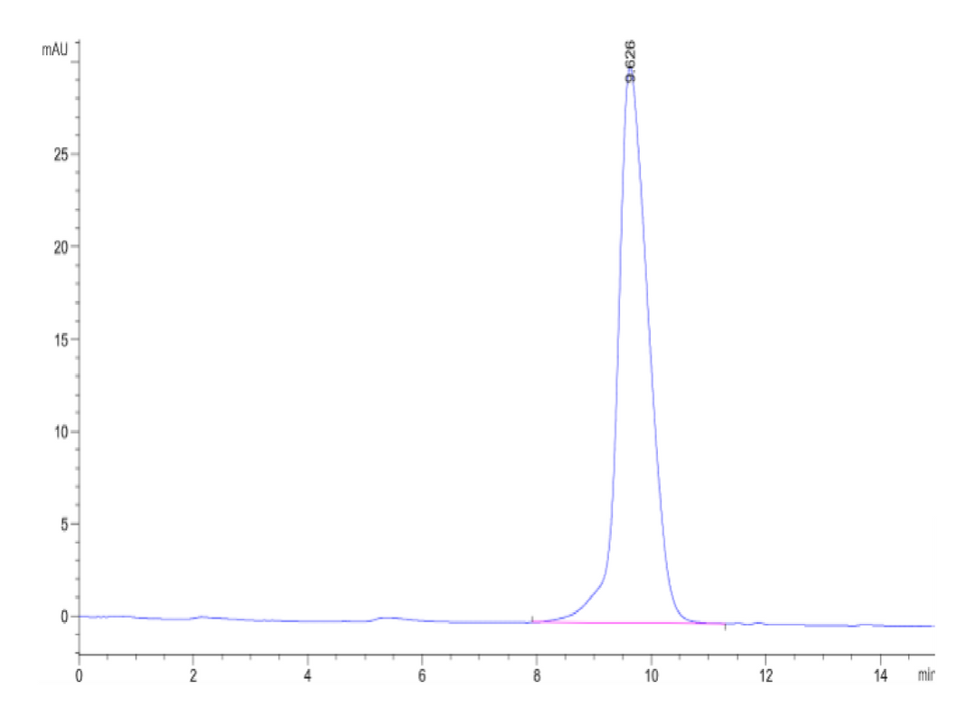 Mouse Activin RIIB/ACVR2B Protein (ARB-MM12B)