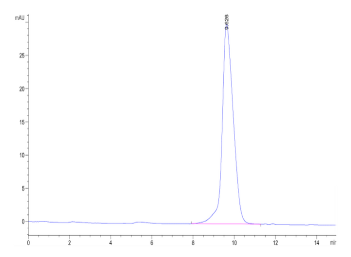 Mouse Activin RIIB/ACVR2B Protein (ARB-MM12B)