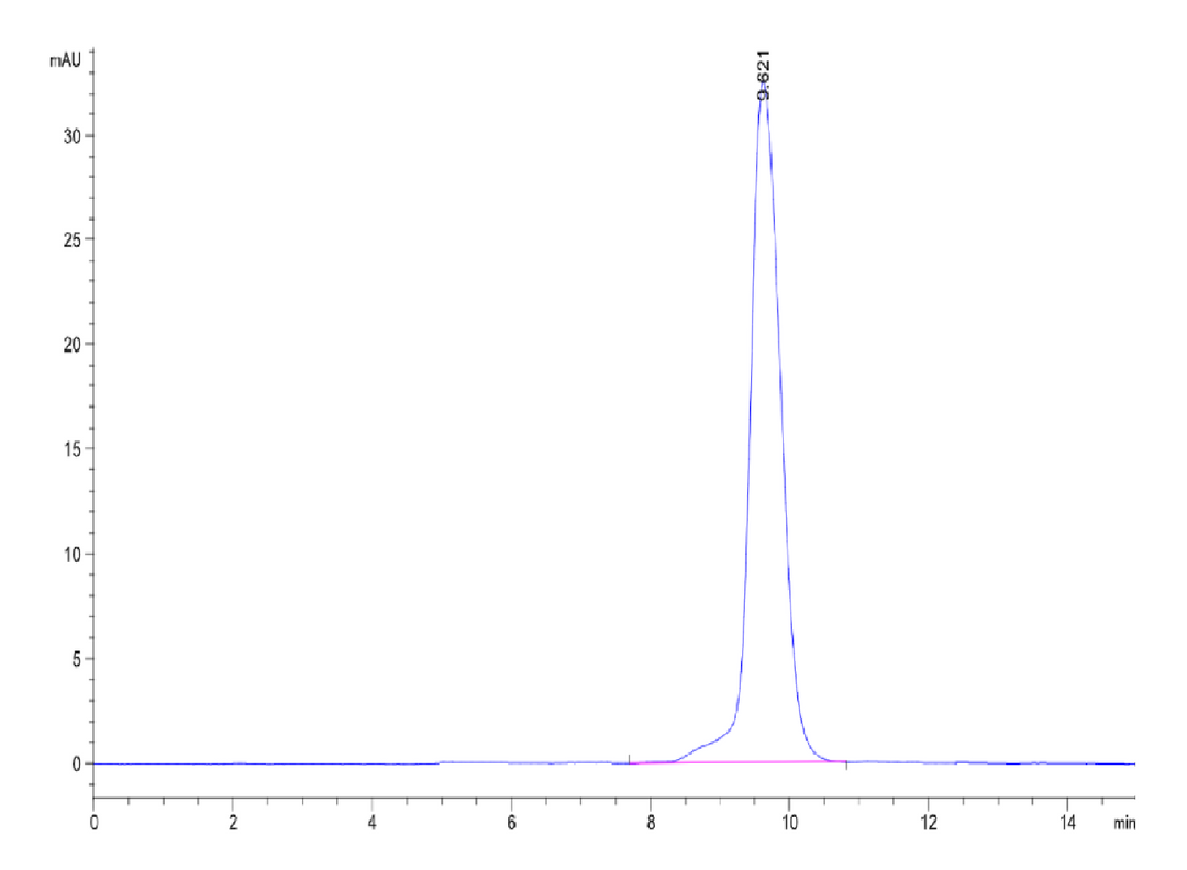 Human/Cynomolgus Activin RIIA/ACVR2A-Protein (ARA-HM12A)