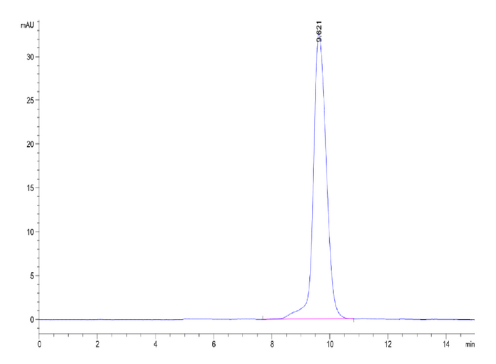 Human/Cynomolgus Activin RIIA/ACVR2A-Protein (ARA-HM12A)