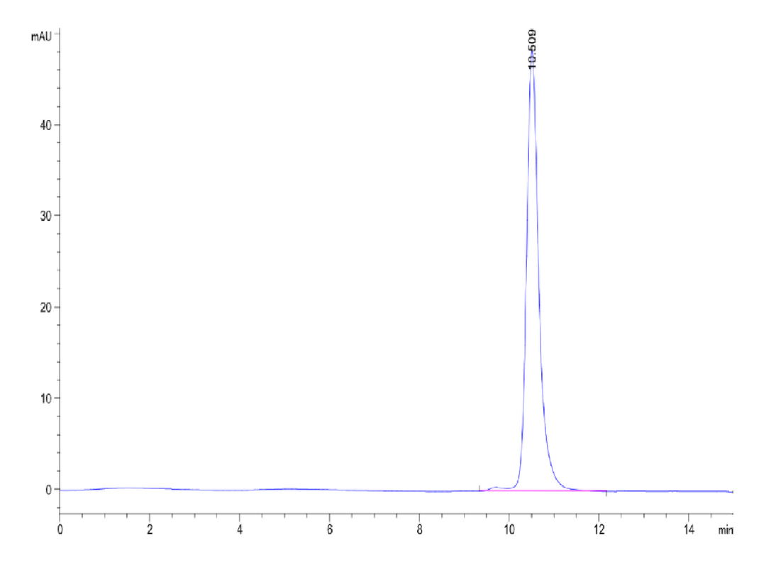 Human Kallikrein 3/KLK3-Protein (KLK-HM103)