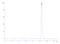 Human Kallikrein 3/PSA-Protein (pro form) (KLK-HM103)