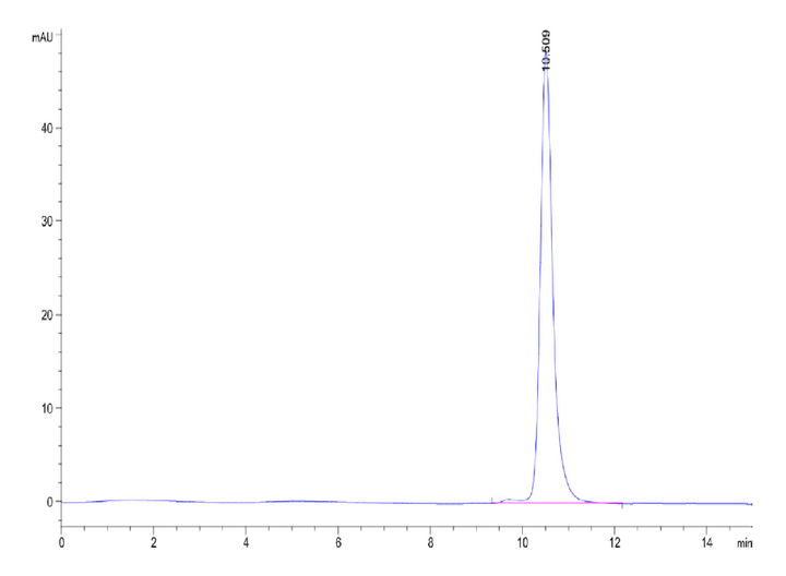 Human Kallikrein 3/KLK3-Protein (KLK-HM103)