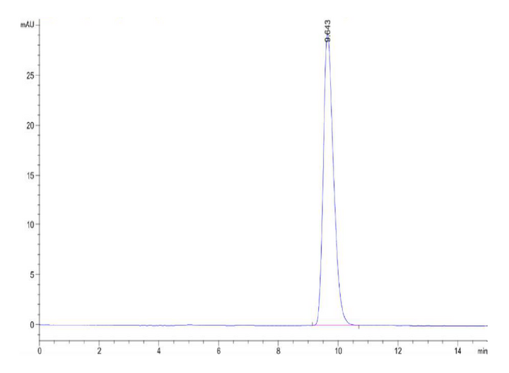 Human EPO/Erythropoietin-Protein (EPO-HM001)