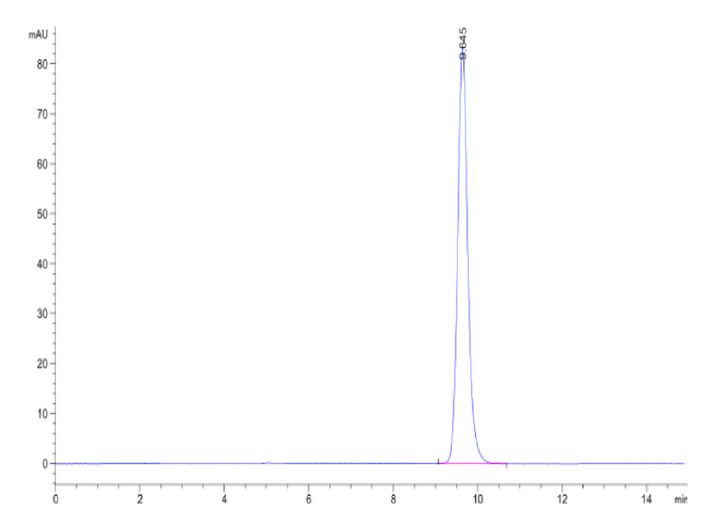 Biotinylated Human HLA-A*02:01&B2M&MAGE-A1 (KVLEYVIKV) Monomer Protein (MHC-HM445B)