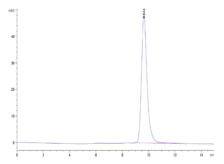 Canine OSMR-Protein (OSM-DM101)