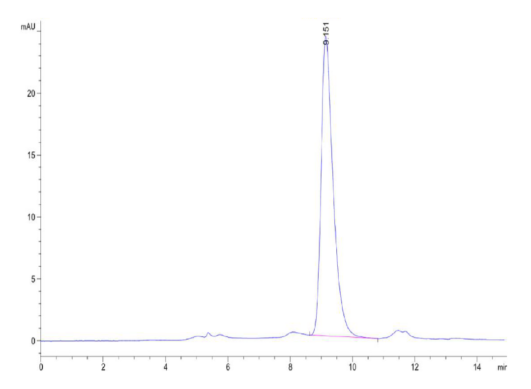 Cynomolgus IL-1R3/IL-1 RAcP Protein (ILR-CM1R3)