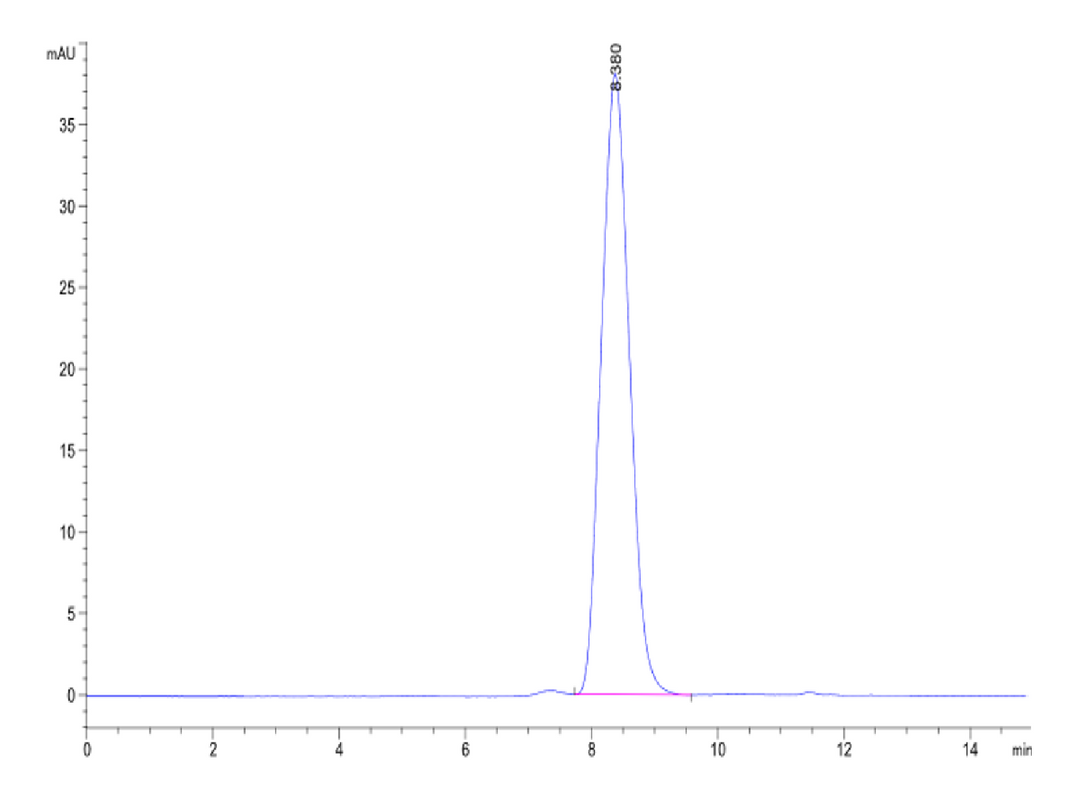 Human gp130/CD130/IL-6 R beta-Protein (GP1-HM130)