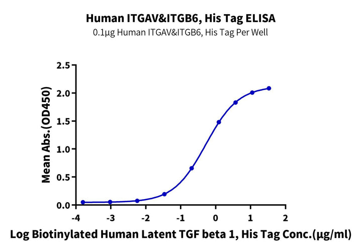 Human Integrin alpha V beta 6 (ITGAV&ITGB6) Heterodimer Protein (ITG-HM4V6)