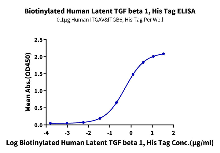 Biotinylated Human Latent TGF beta 1/TGFB1 Protein (TG1-HM401B)