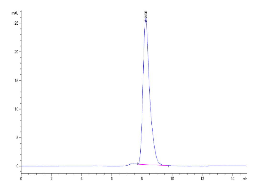 Human Alkaline Phosphatase (Germ type) /ALPG Protein (APE-HM303)