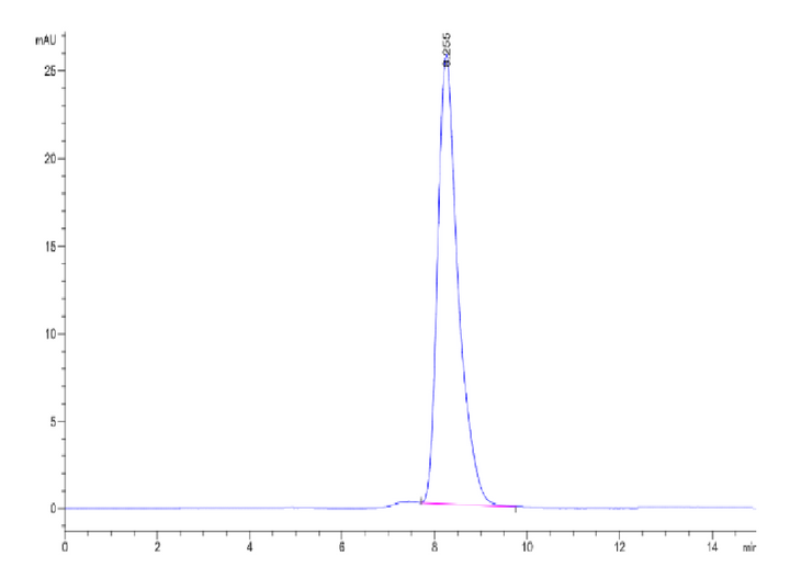 Human Alkaline Phosphatase (Germ type) /ALPG Protein (APE-HM303)