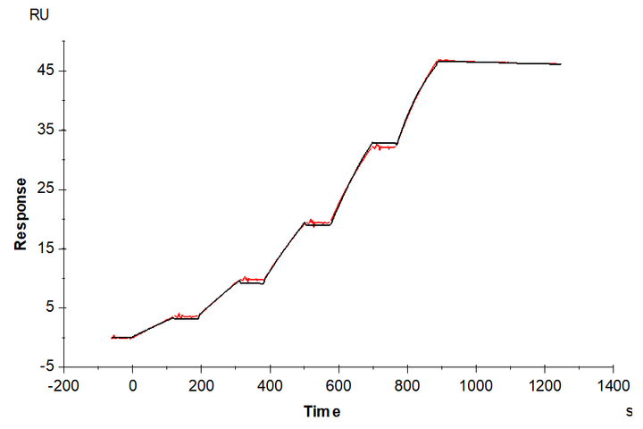 Human HLA-A*02:01&B2M&GP100 (YLEPGPVTA) Tetramer Protein (MHC-HM402T)