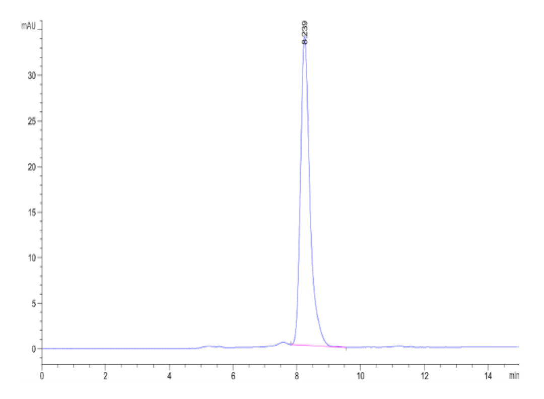 Human DKK1 N terminal Domain Protein (DKK-HM31N)