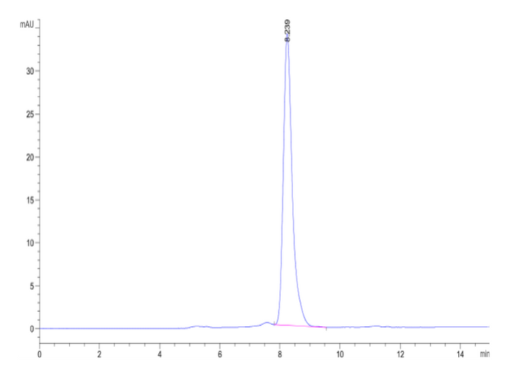 Human DKK1 N terminal Domain Protein (DKK-HM31N)