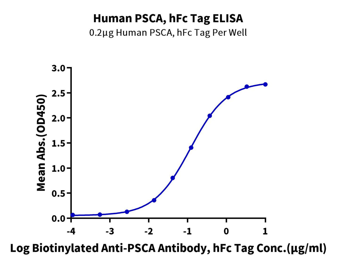 Human PSCA-Protein (PCA-HM201)