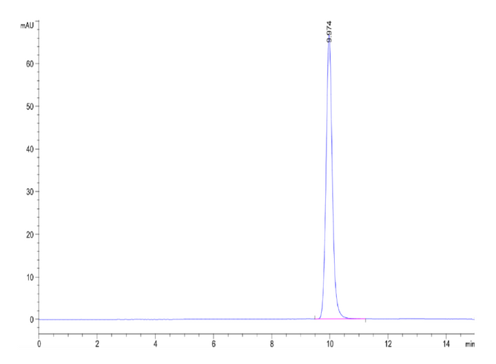 Human Latexin-Protein (LAT-HE101)