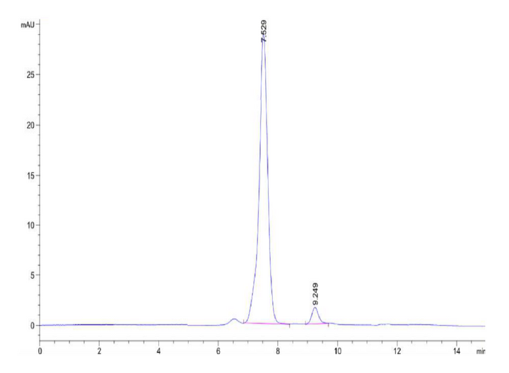 Rat CKMT2-Protein (CKM-RE002)