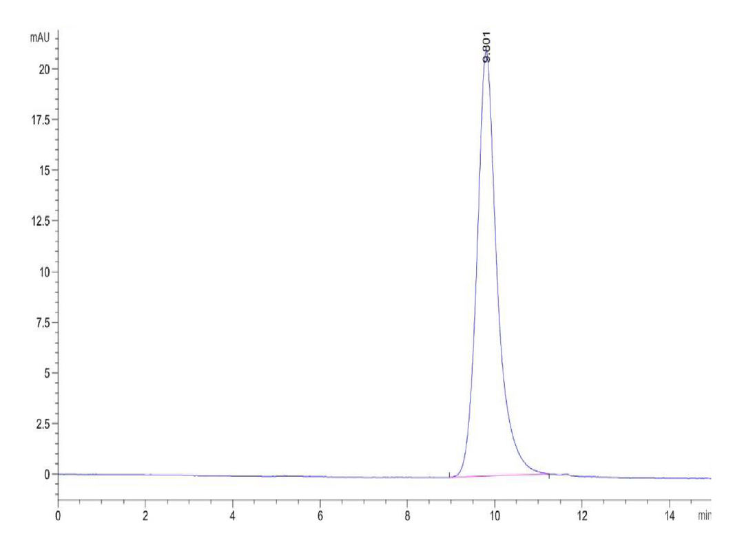 Rat IL-22R alpha 1 Protein (ILR-RM122)