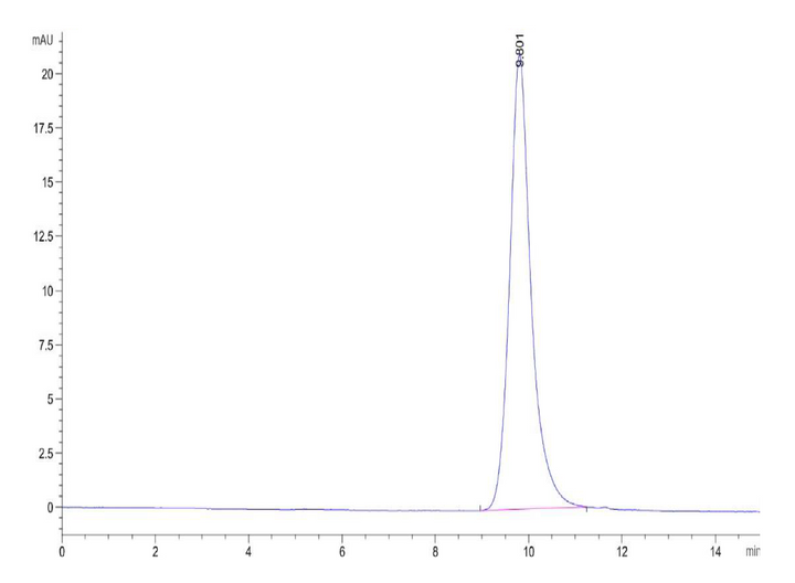 Rat IL-22R alpha 1 Protein (ILR-RM122)