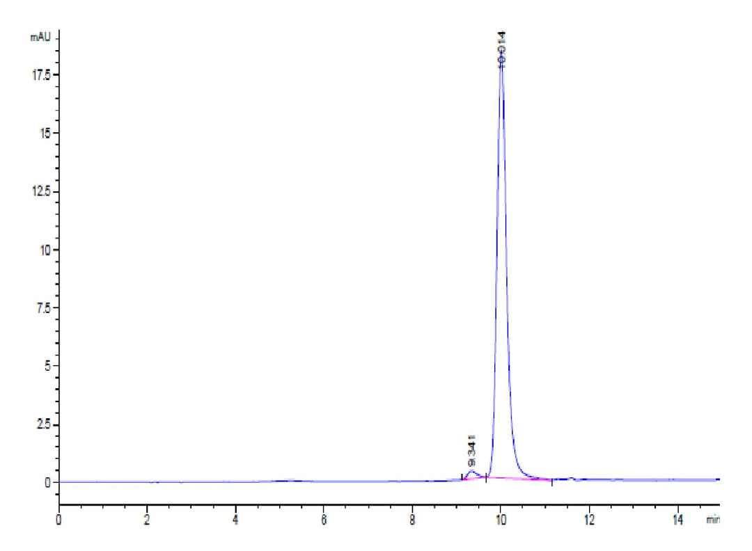 Human PHOSPHO1-Protein (PHO-HE101)