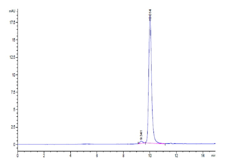 Human PHOSPHO1-Protein (PHO-HE101)