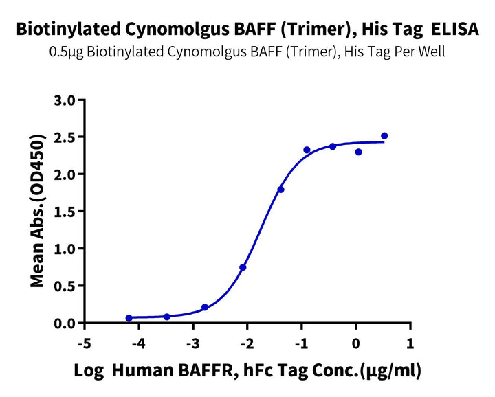 Biotinylated Cynomolgus BAFF/TNFSF13B/CD257 Trimer Protein (BAF-CM412B)