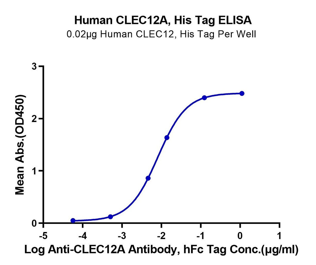 Human CLEC12A/MICL/CLL-1 Protein (CLE-HM12A)