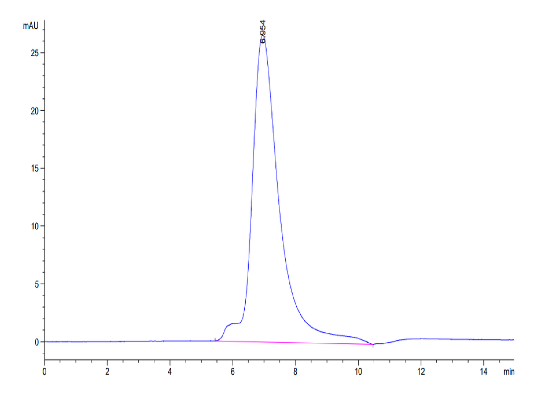 Biotinylated Human LILRA1/CD85i/LIR-6 Protein (LIL-HM4A1B)